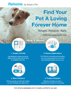 Rehome-printable-flyer-AAP