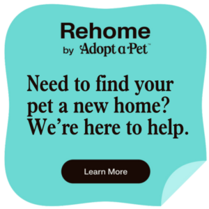 RehomebyAdoptaPet-need